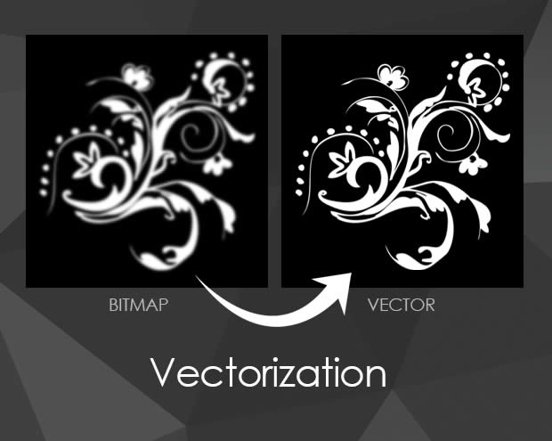 Logo Vectorization Service